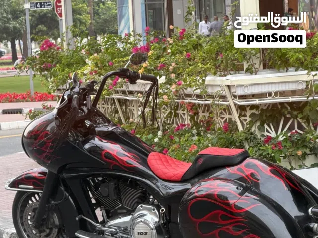 2013 Harley Davidson Other