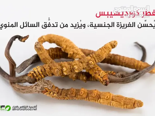 فطر الكورديسبس العضوي (فيجرا جبال الهمالايا) لتعزيز وتنشيط صحة القلب والاوعية الدموية.