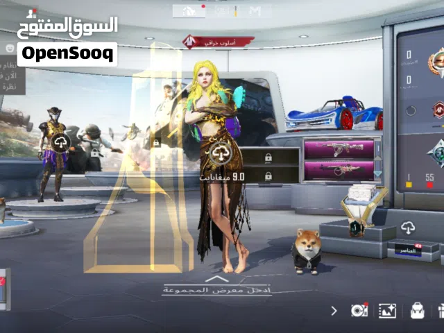 حساب ببجي عرطه