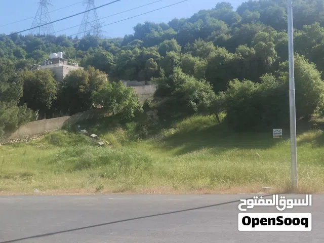Residential Land for Sale in Amman Al-Fuhais