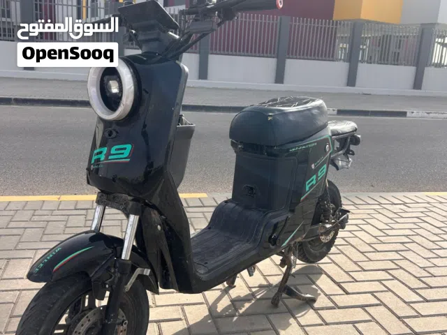 2024 اخرى اخرى