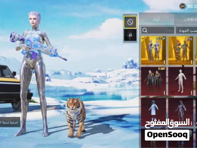 Pubg Accounts and Characters for Sale in Baghdad