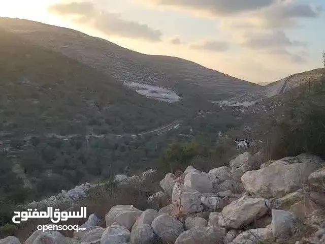 نمرة ارض مميزة للبيع في عصيرة الشمالية بجانب حي الجبل