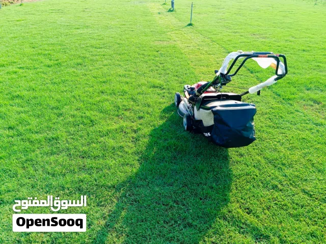 Blassblem & Barmuda American beautiful green colour Gas.