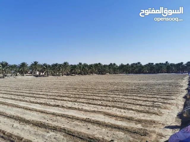 Farm Land for Sale in Al Sharqiya Other