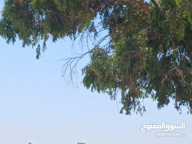 Residential Land for Sale in Misrata Other