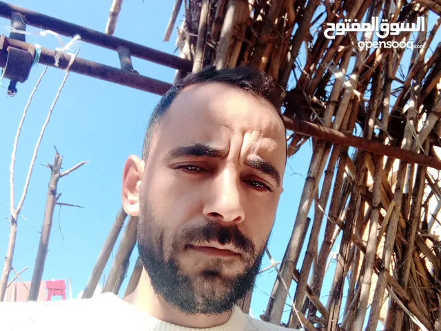 محمد عنان