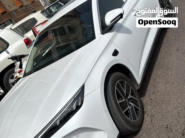 2025 بي واي دي كين