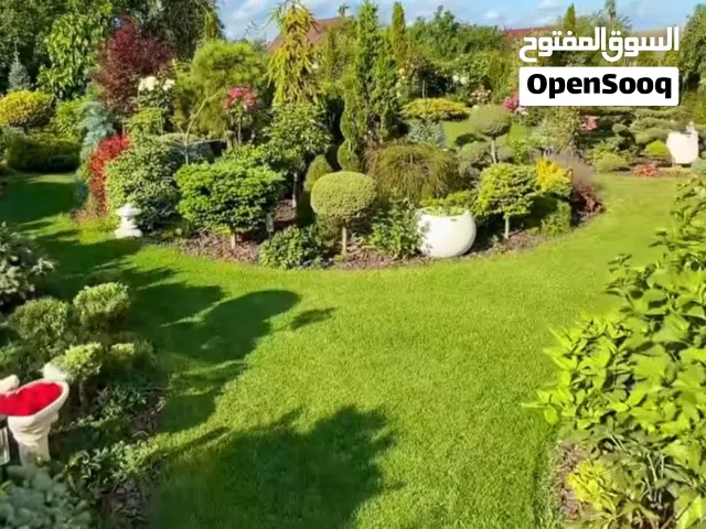 تنسيق الحدئق وصيانه شهري