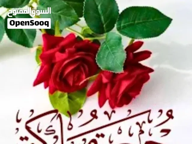 السلام عليكم ابحث عن سراحه الي حوالي مايبخل علينا