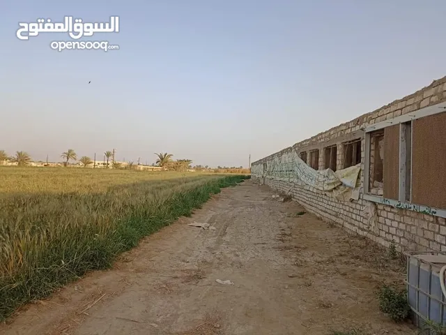 1 Bedroom Farms for Sale in Cairo New October