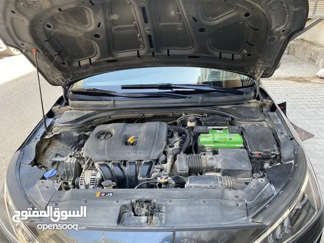 النترا 2020 أمريكي