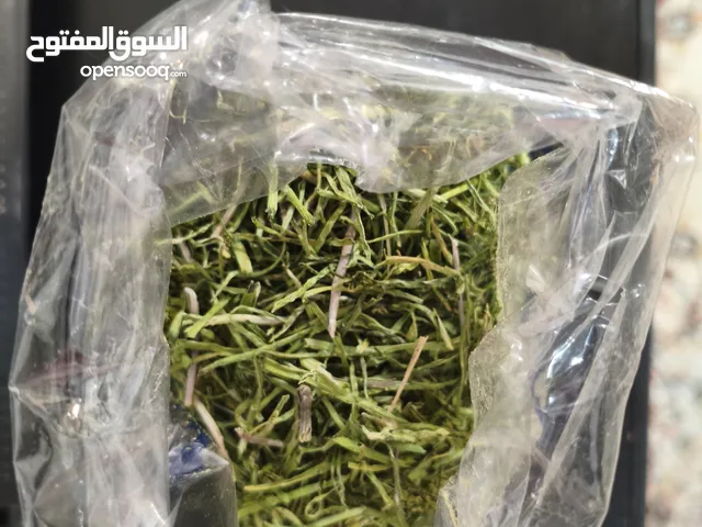 بوسور، كسار الحصوة بتاعة الكلى