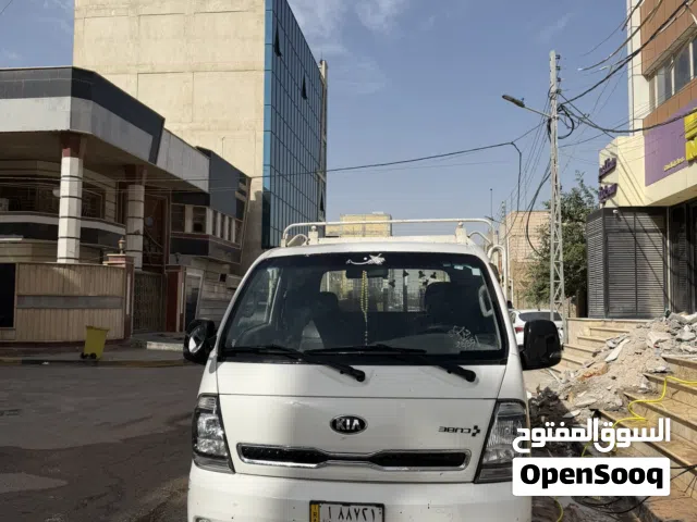 كيا بنكو فحل مسكر