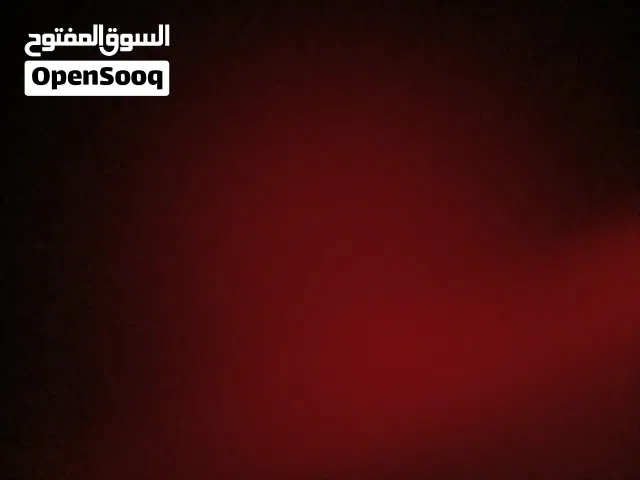 مطلوب جاج بلدي داخل الرصيفة بسعر منيح يكون بياض