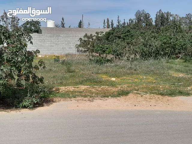 Residential Land for Sale in Tripoli Al-Baesh