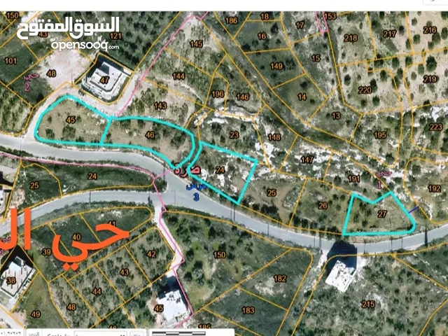 اربع نمر للبيع في اجمل مواقع حي المسك