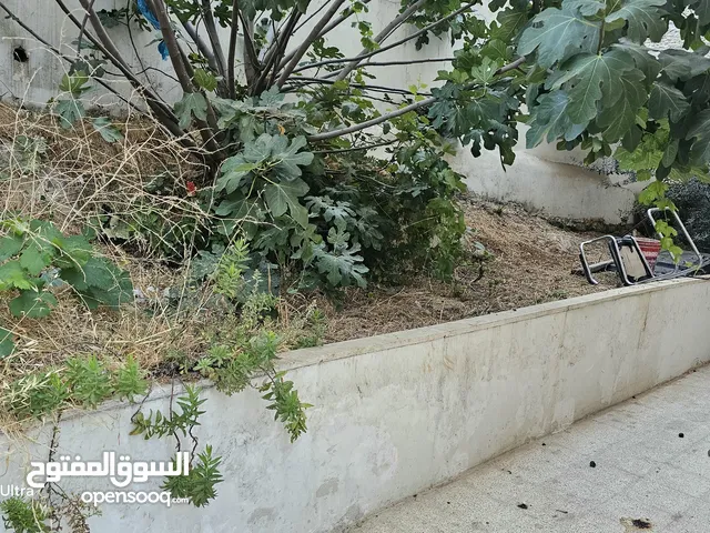 فراس ابو يزن