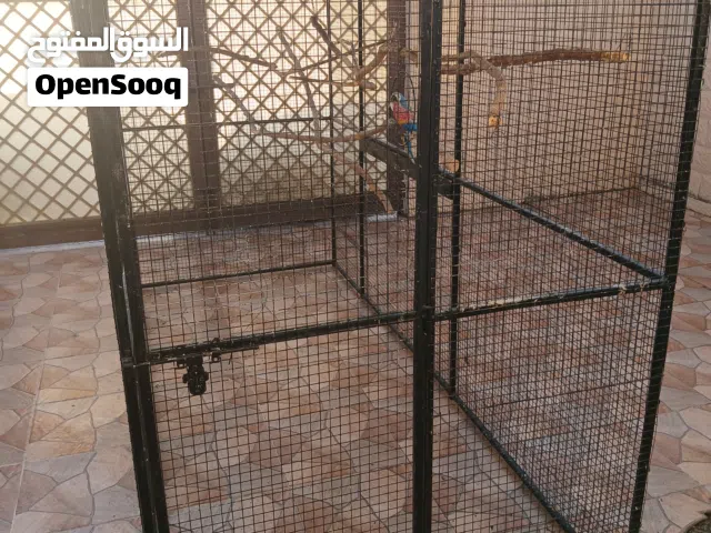 فقص فقص فقص للبيع