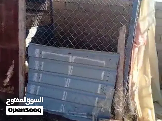 خم دجاج  و حلال معرش زينكو