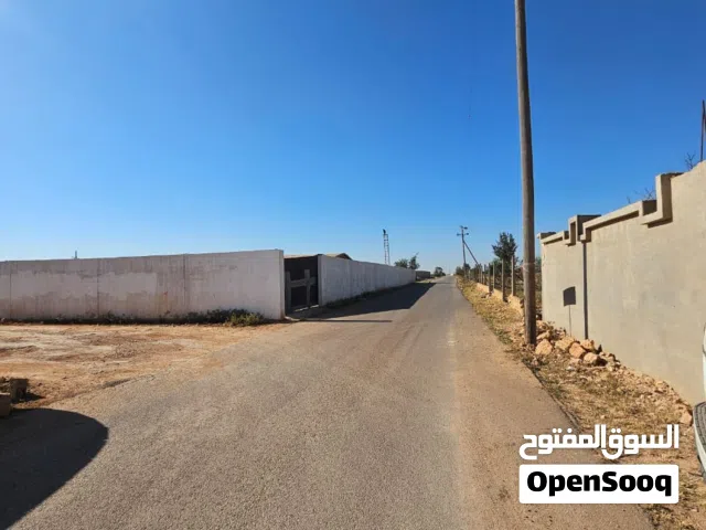 نصف هكتار في سي فرج