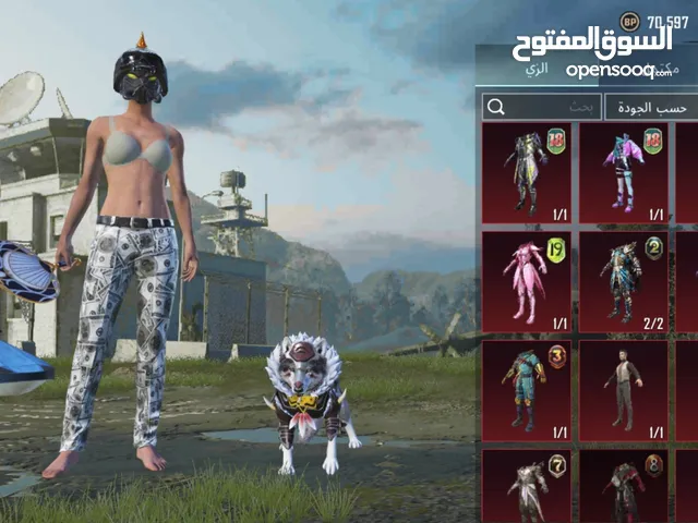 Pubg Accounts and Characters for Sale in Aqaba