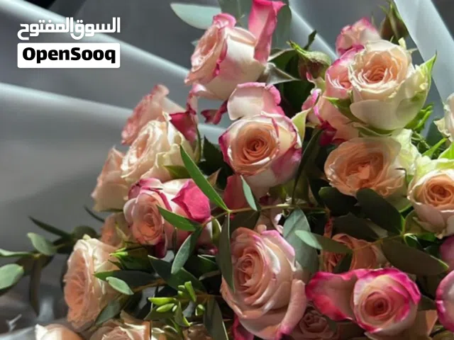 سلمي الفاضل