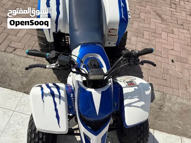Super clean - Yamaha 250cc