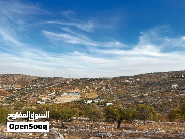 Residential Land for Sale in Zarqa Al-Alouk