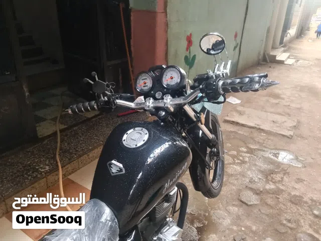 2025 هاوجن اريس HJ150