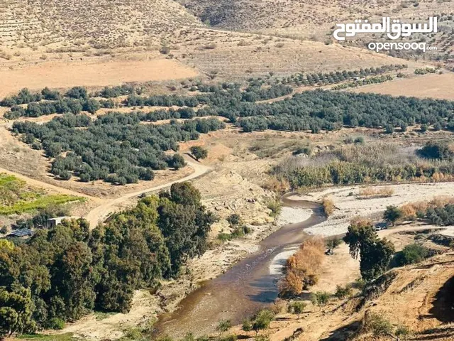 Farm Land for Sale in Jerash Other