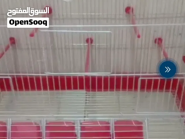 مطير 8 معالف بحاله ممتازه