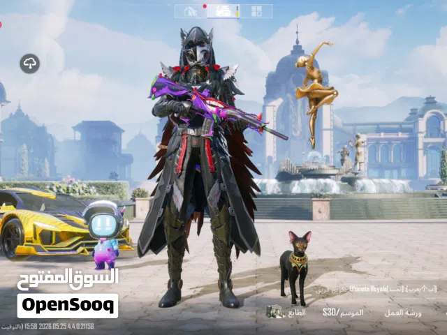 Pubg Accounts and Characters for Sale in Diyala