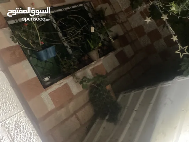 شقه للبيع كاش