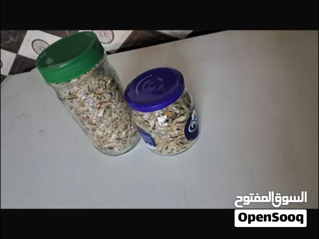 للبيع جاشع