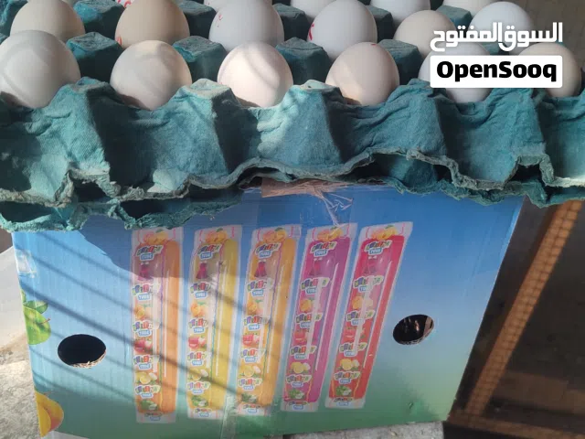 طبقة بيض كويتي