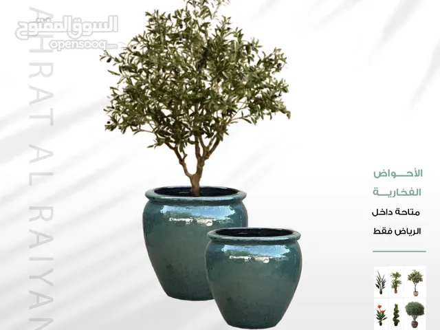احواض زرع ومراكن زراعية حوض زرع زهرة الريان