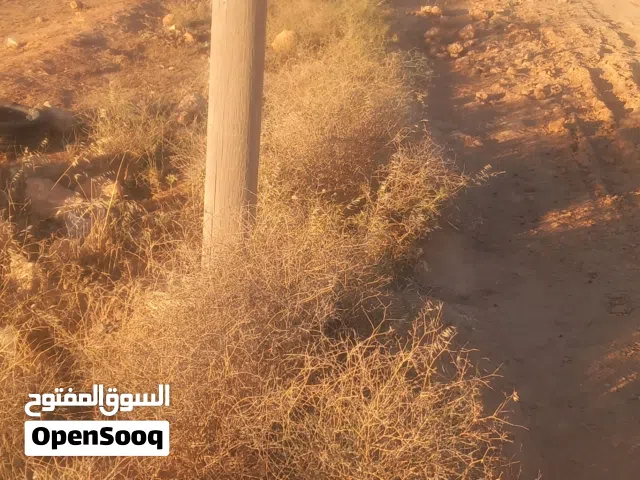 ارض 500م2 على شارع بودريسه