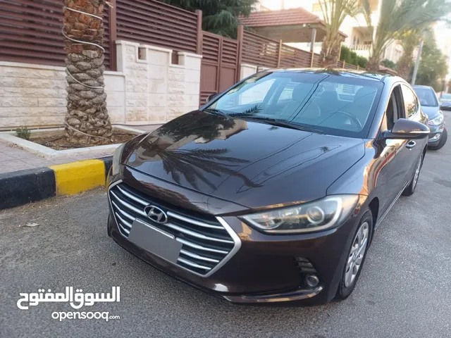 Used Hyundai Elantra in Amman