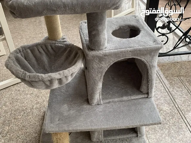 cat playhouse