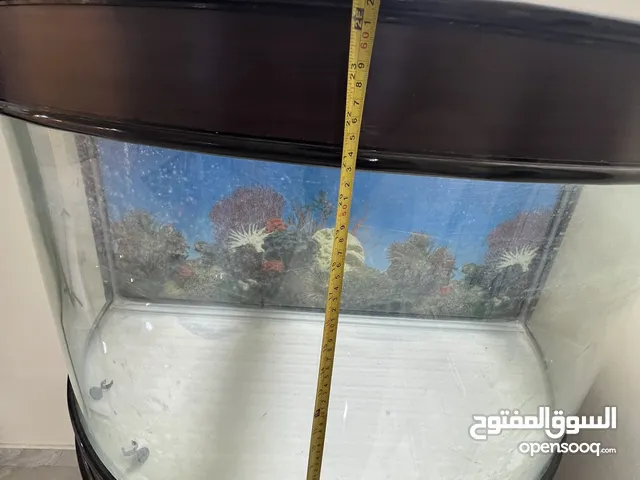 حوض سمك مستعمل