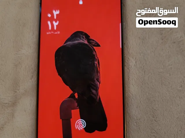اس 24 الترا تيتانيوم كرت