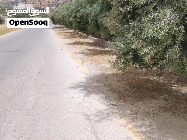 Mixed Use Land for Sale in Salt Kafr Hooda