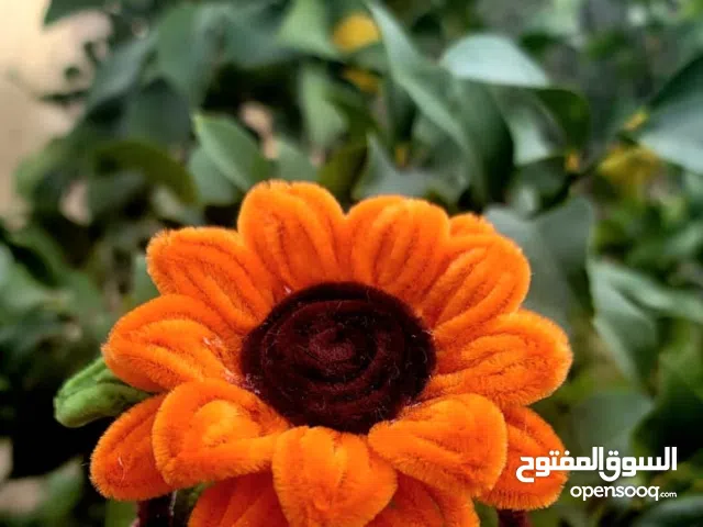 باقات ورد وشموع عمل يدوي من خيوط الصوف وباقات من الشبر مفرق وجملة