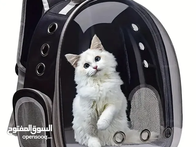 pet carrier bag ,new condition , very comfortable suitable for cats ,small dog