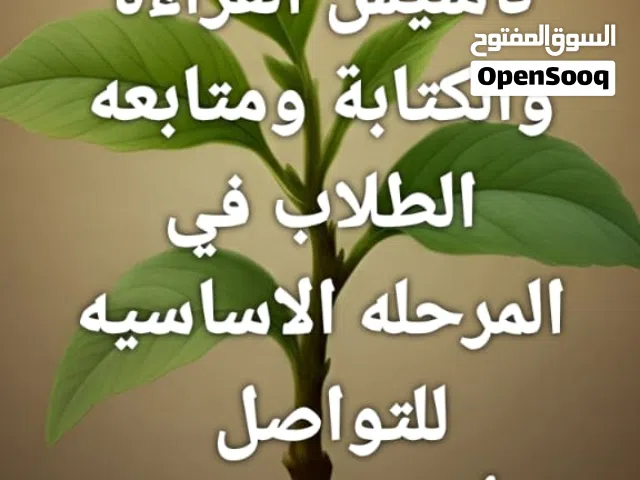 معلمة تأسيس مراحل ابتدائية