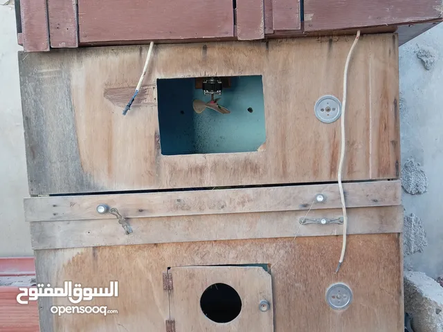 فقاسات بيض