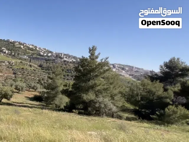 Residential Land for Sale in Salt Al Balqa'