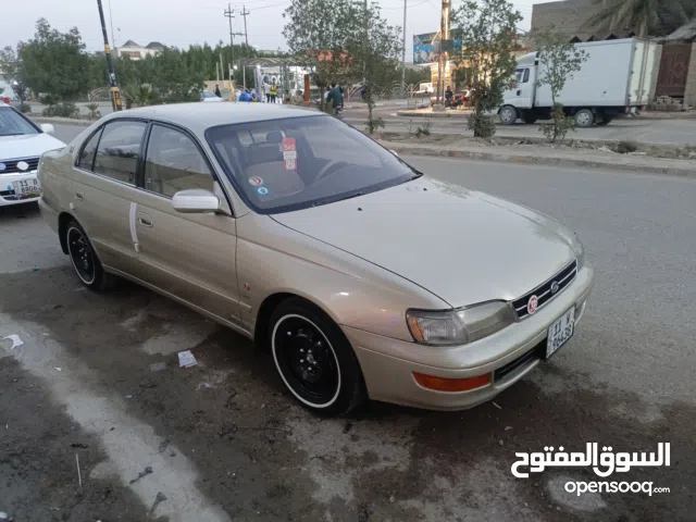 New Toyota Corona in Wasit