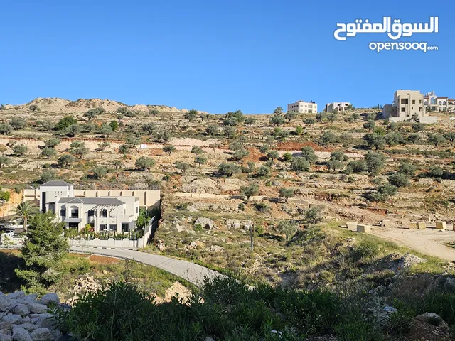 Residential Land for Sale in Ramallah and Al-Bireh Other